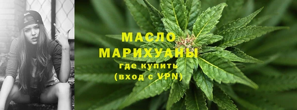 гидра Богородск