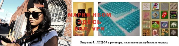 прущие грибы Богородицк