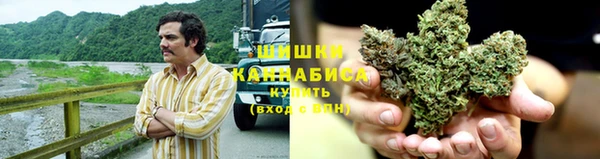 гидра Богородск