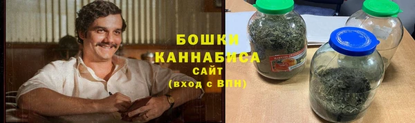 гидра Богородск