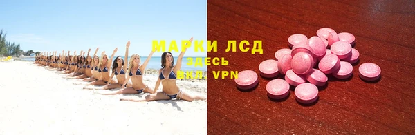 прущие грибы Богородицк