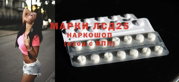 прущие грибы Богородицк