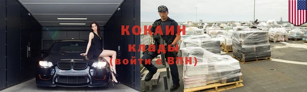 прущие грибы Богородицк