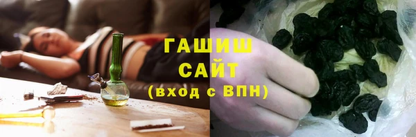 гидра Богородск