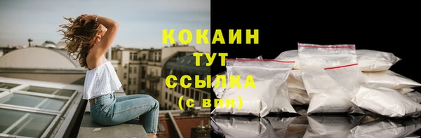 гидра Богородск
