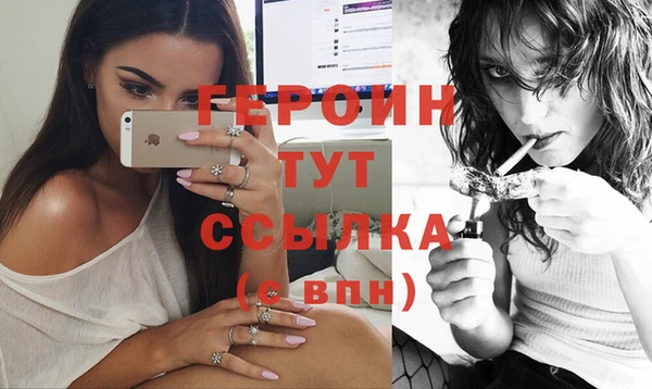 гидра Богородск