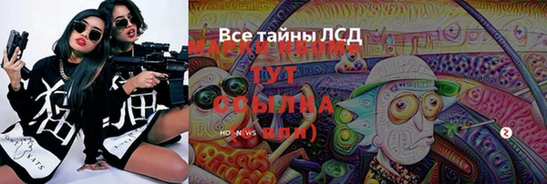 гидра Богородск