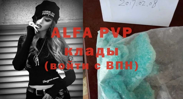 прущие грибы Богородицк