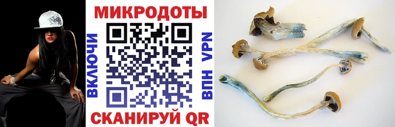 Галлюциногенные грибы Cubensis  купить   Кстово 