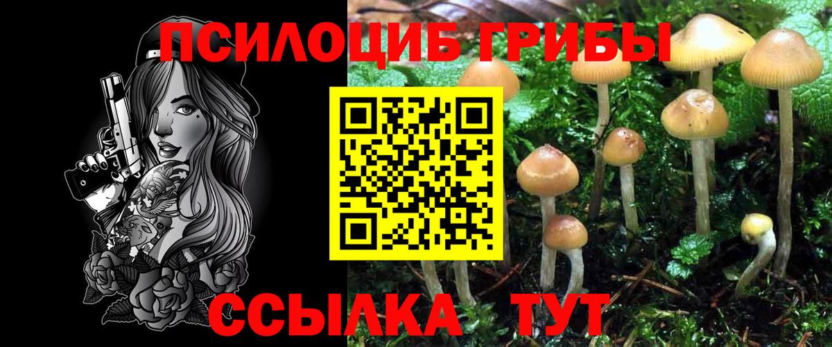 Псилоцибиновые грибы Magic Shrooms  Псилоцибиновые грибы Magic Shrooms  Вход с VPN  Кстово 